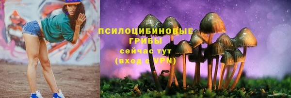 метадон Ельня