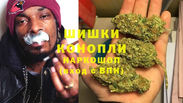 стаф Елабуга