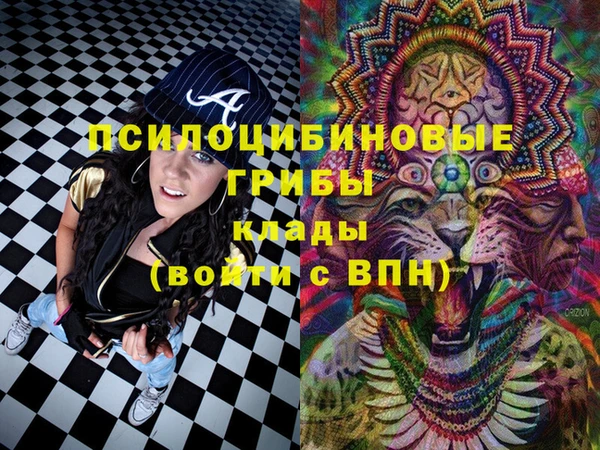 метадон Ельня