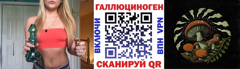 Галлюциногенные грибы Cubensis  Купить закладки  Тында 